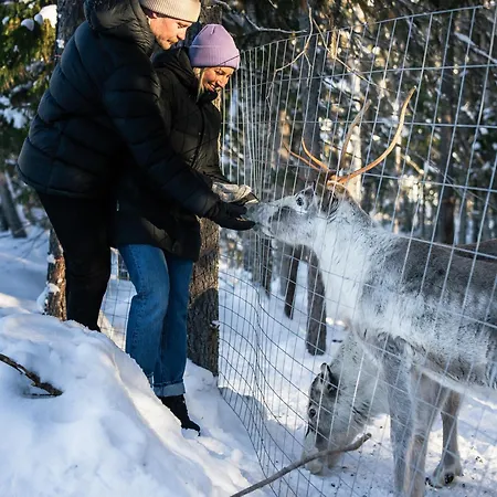 Nova Galaxy Village Отель Рованиеми