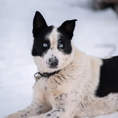 Nova Galaxy Village Отель