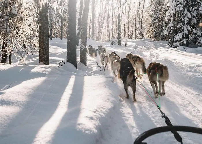 Nova Galaxy Village Hotel *